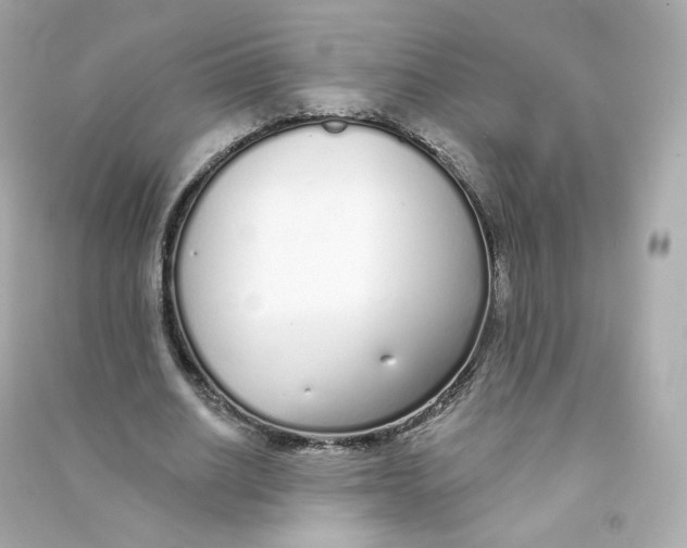 X0000090460630200708102112