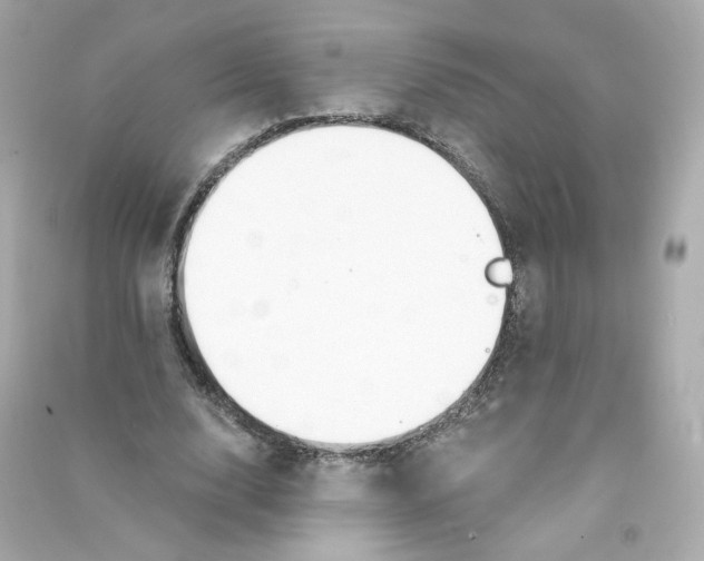 X0000090460632200708102112