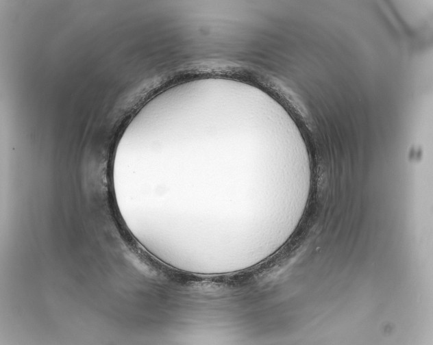 X0000090460633200708102112