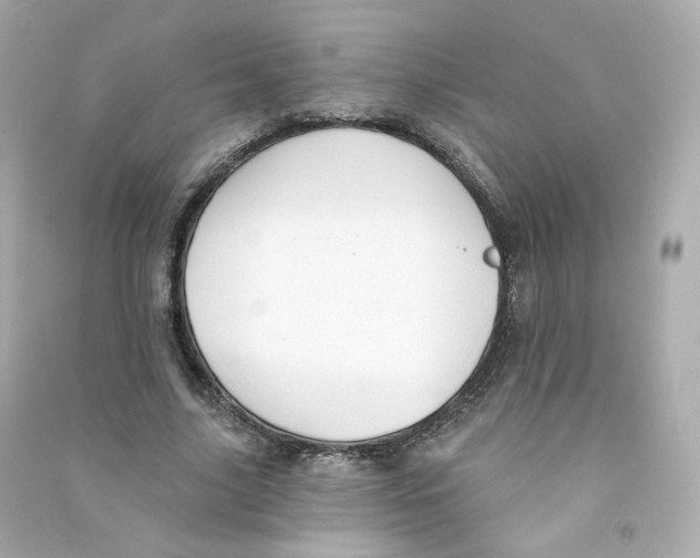 X0000090460635200708102112