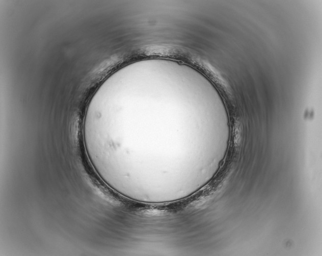 X0000090460637200708102112