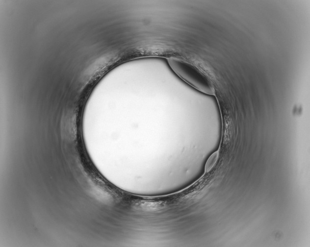 X0000090460638200708102112
