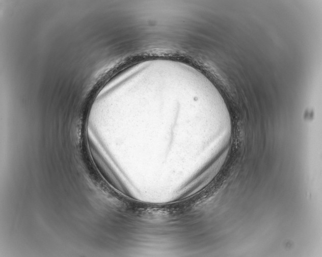 X0000090460640200708102112