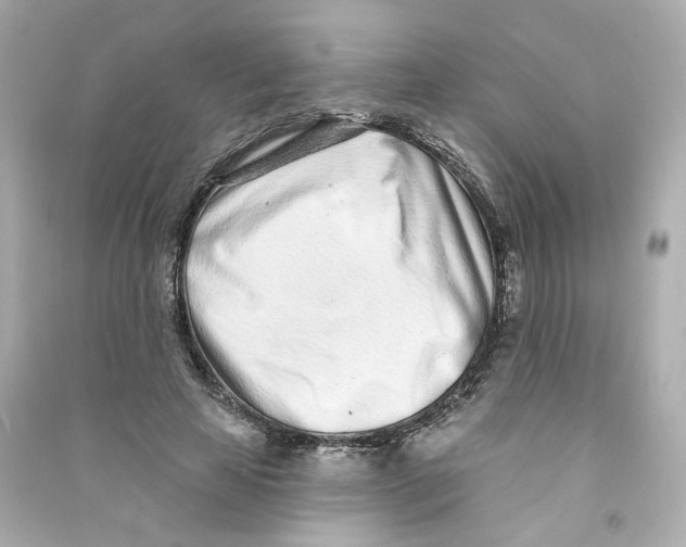 X0000090460641200708102112