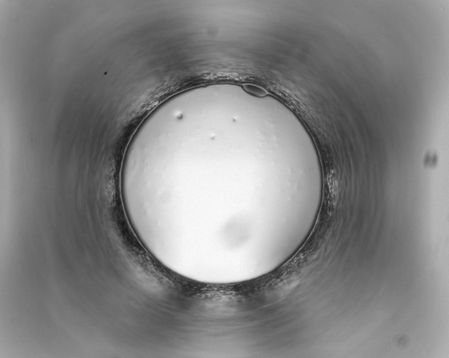 X0000090460642200708102112