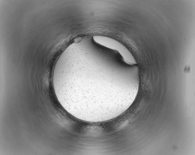 X0000090460644200708102112