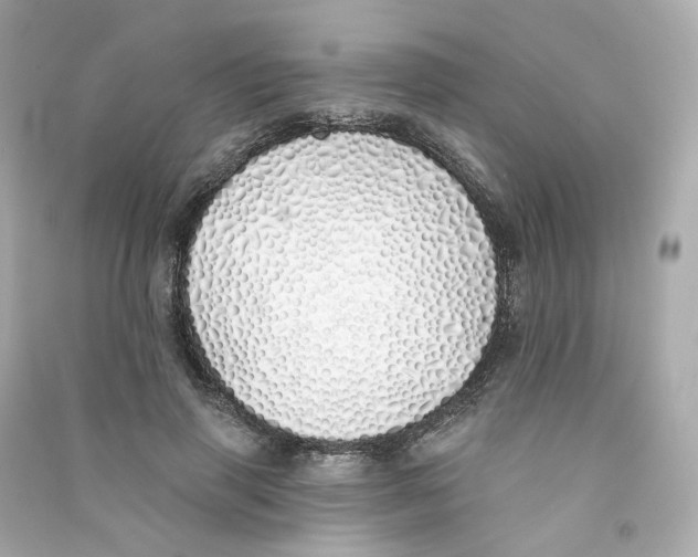 X0000090460645200708102112