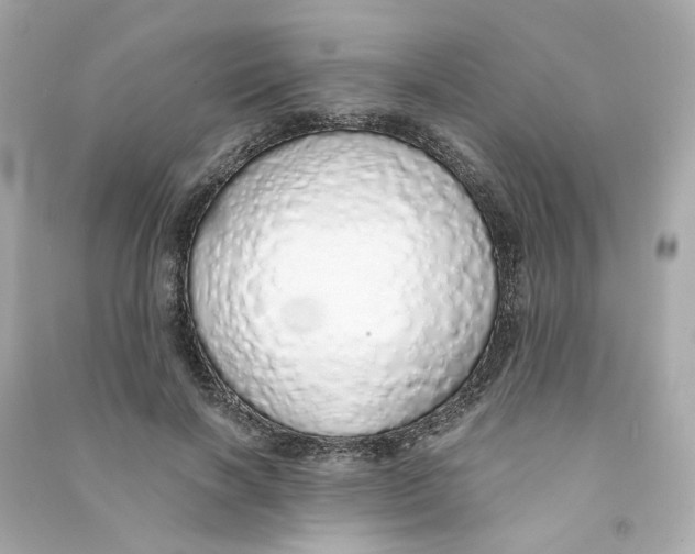 X0000090460646200708102112