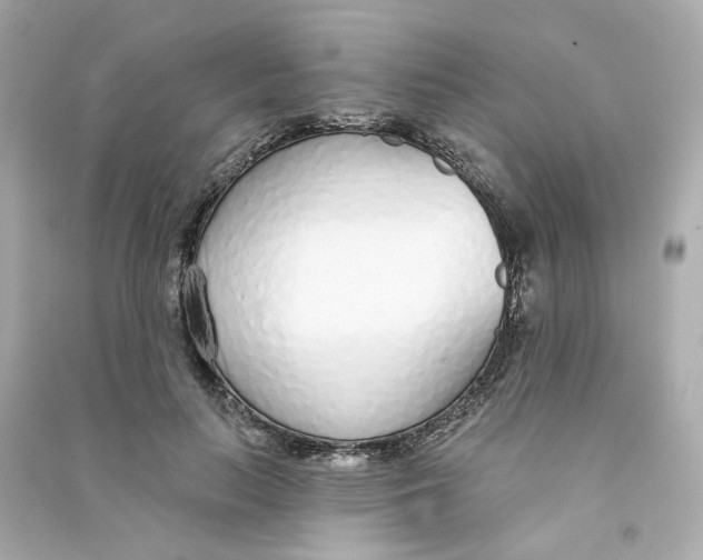 X0000090460647200708102112