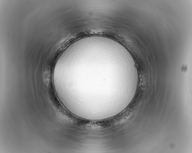 X0000090460648200708102112