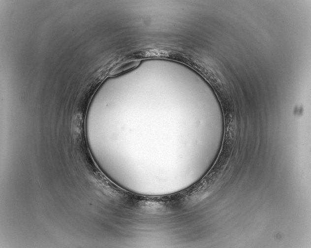 X0000090460649200708102112