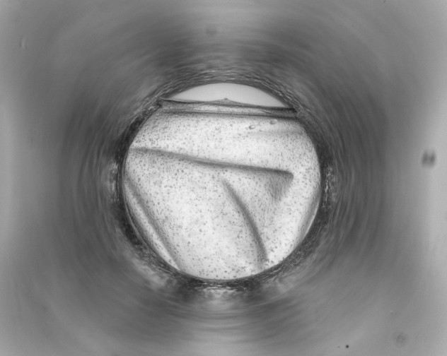 X0000090460650200708102112