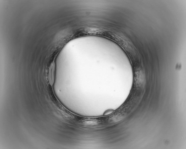 X0000090460653200708102112