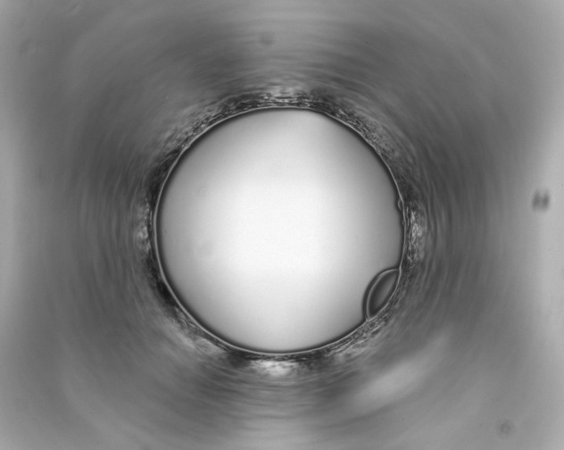X0000090460654200708102112