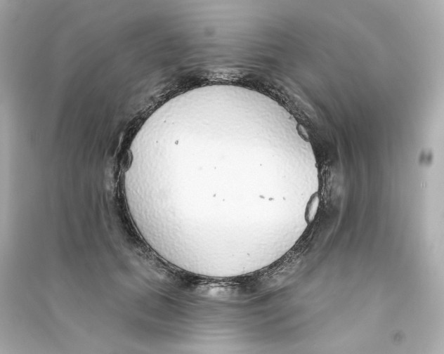 X0000090460655200708102112