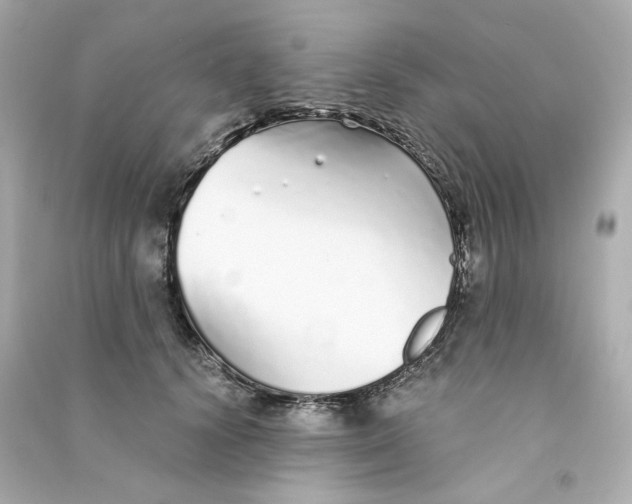 X0000090460656200708102112