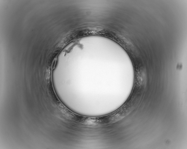 X0000090460657200708102112