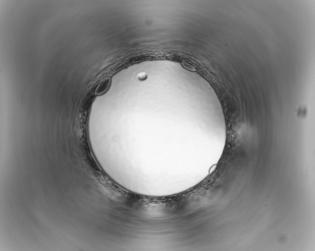 X0000090460658200708102112