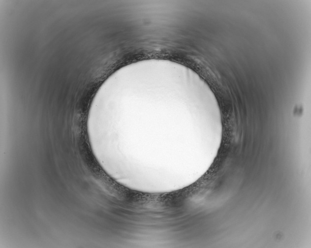 X0000090460659200708102112
