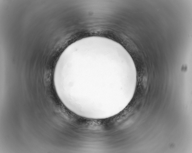 X0000090460660200708102112