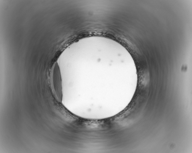 X0000090460661200708102112