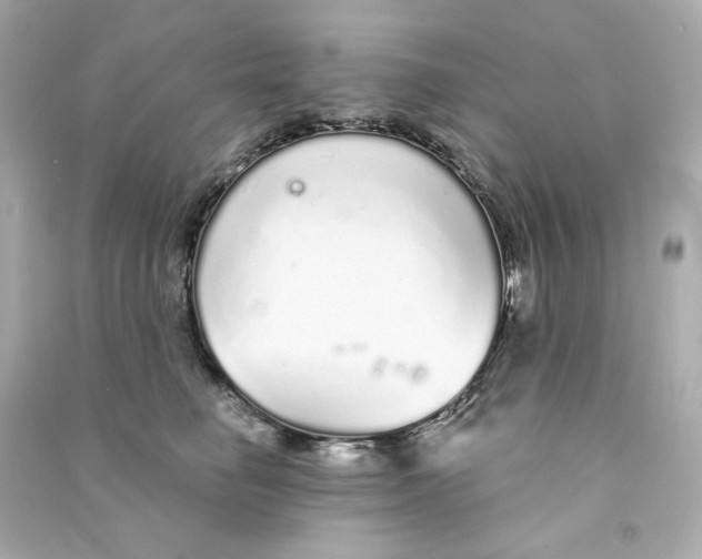 X0000090460662200708102112