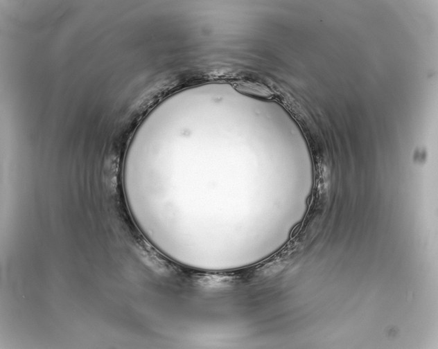 X0000090460664200708102112