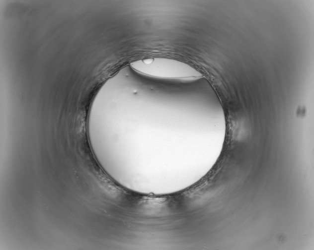 X0000090460665200708102112