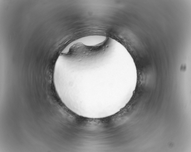 X0000090460666200708102112