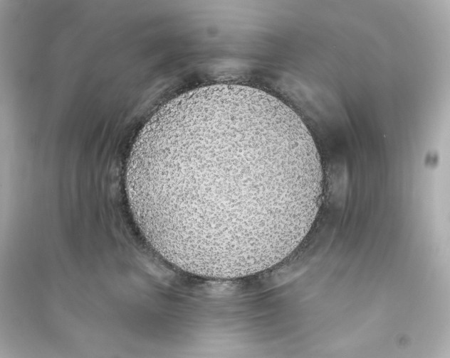 X0000090460667200708102112