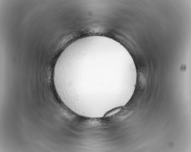 X0000090460668200708102112