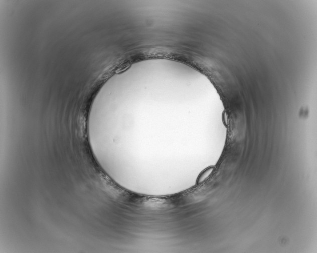 X0000090460669200708102112