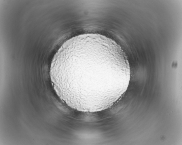 X0000090460670200708102112