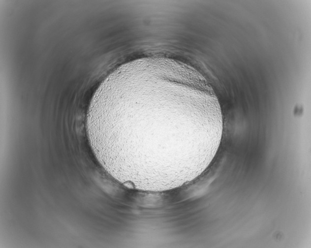 X0000090460671200708102112