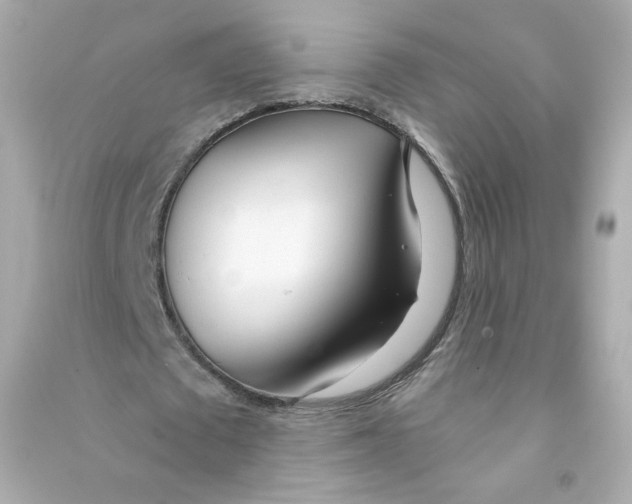 X0000090460673200708102112