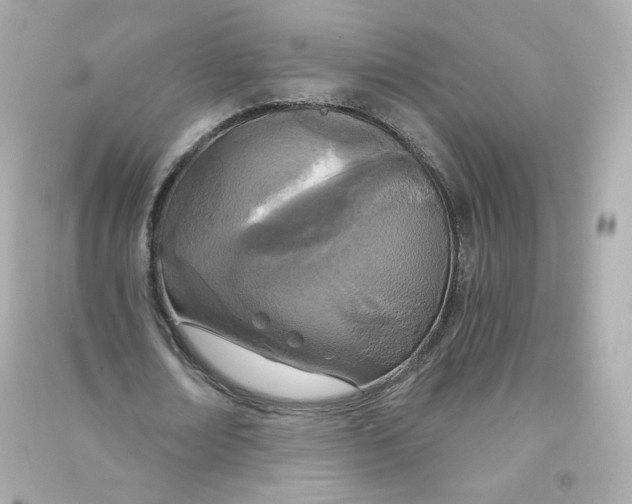 X0000090460674200708102112