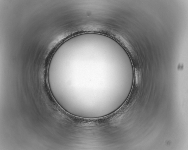 X0000090460675200708102112