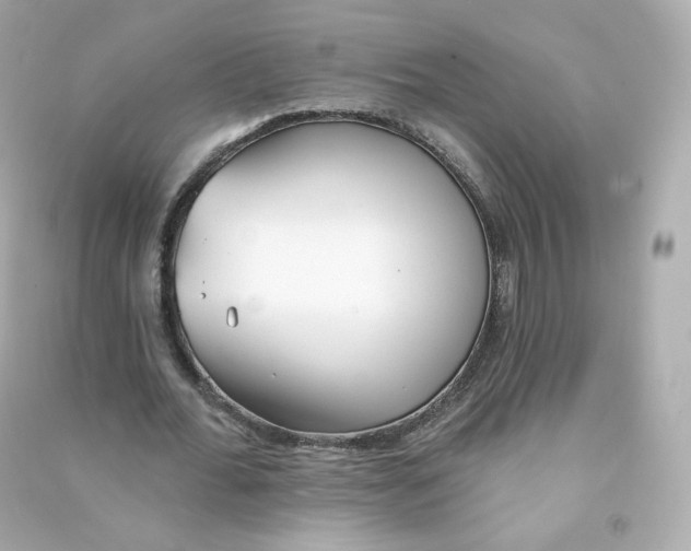 X0000090460676200708102112