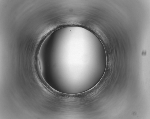 X0000090460677200708102112