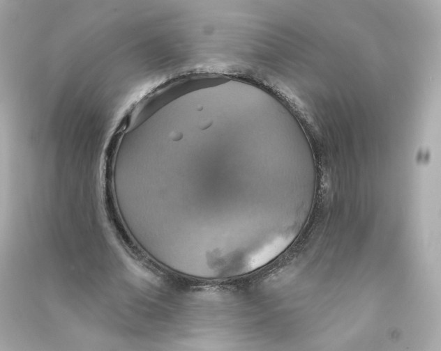 X0000090460678200708102112