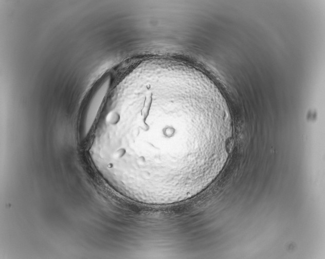 X0000090460679200708102112
