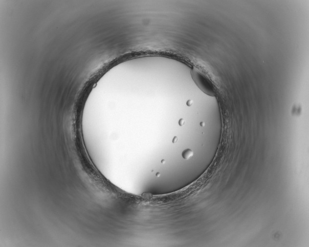 X0000090460680200708102112