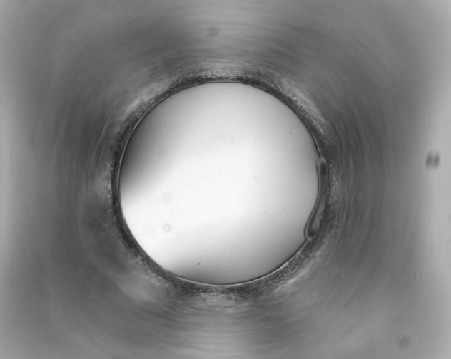 X0000090460681200708102112