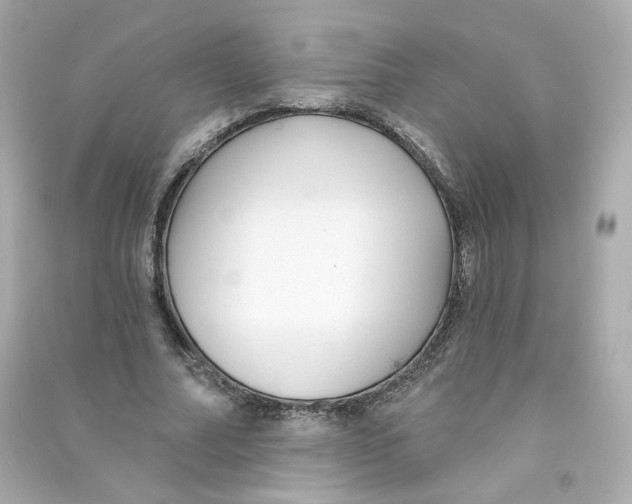 X0000090460682200708102112