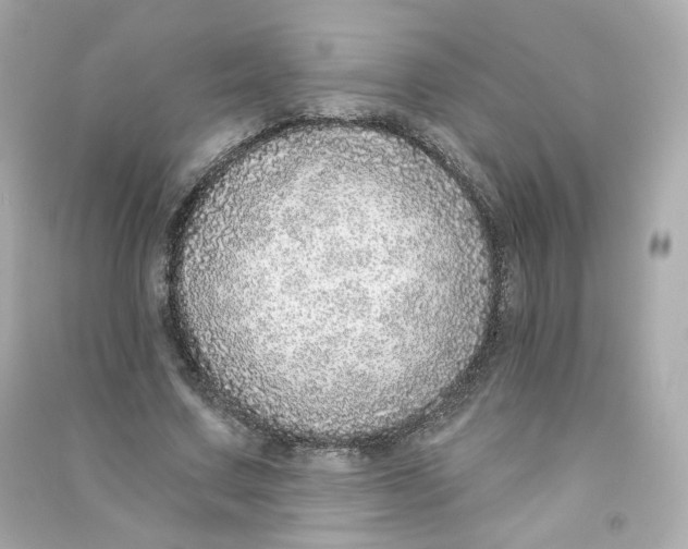X0000090460683200708102112
