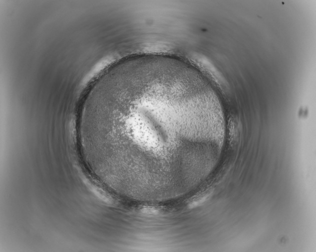 X0000090460684200708102112