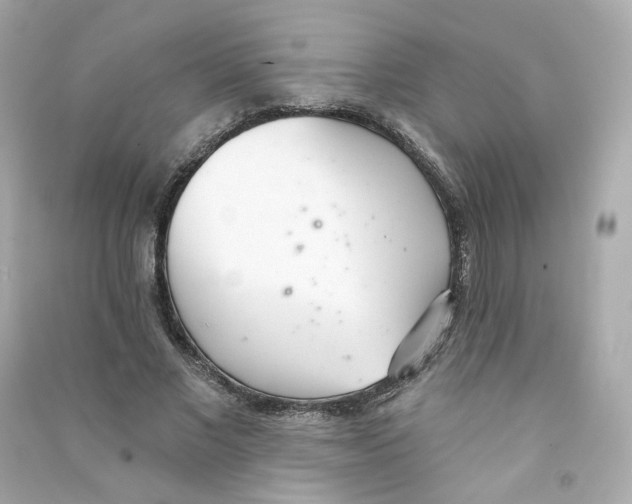 X0000090460685200708102112