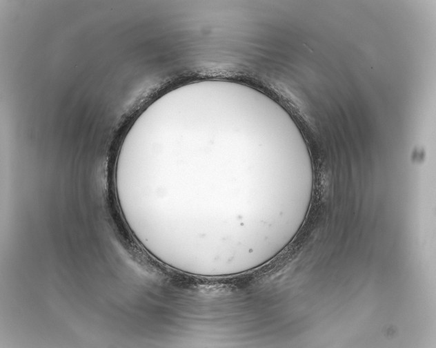X0000090460686200708102112