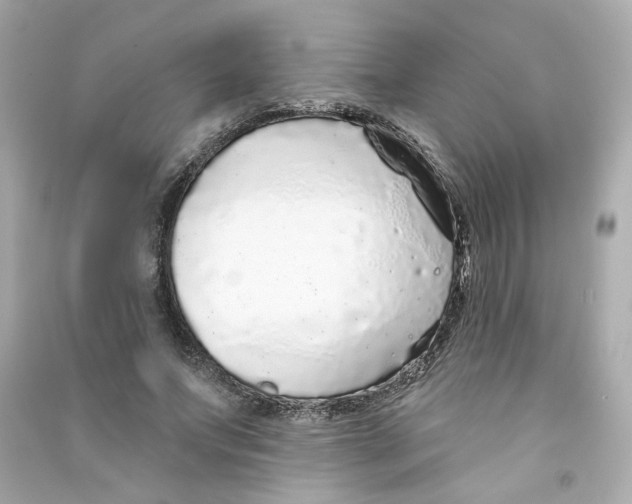 X0000090460687200708102112