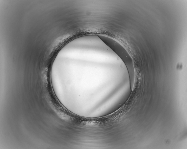 X0000090460688200708102112